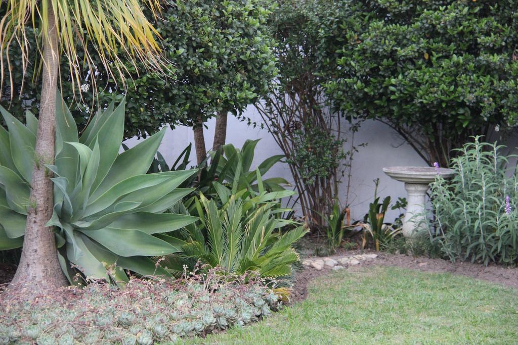 فندق 33 Berg Selfcatering سويلندام المظهر الخارجي الصورة